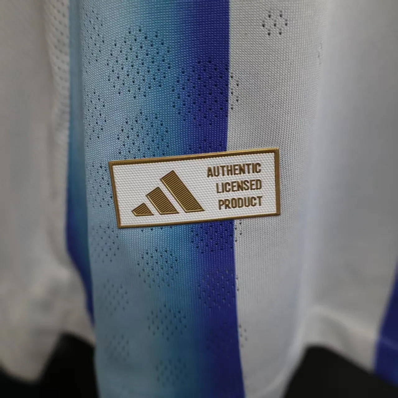 Player Version Argentina Jersey 2026 World Cup Football Kit Soccer Jersey