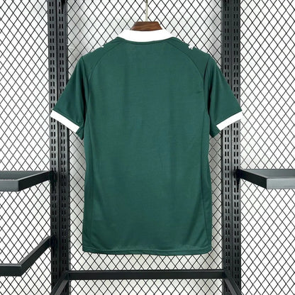 player version plymouth argyle jersey 25/26 home football kit soccer jersey