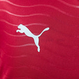 Portugal Jersey 2026 World Cup Home Football Kit - PalmSportss