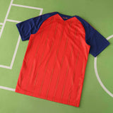 Spain Jersey 2026 World Cup Home Football Kit - PalmSportss