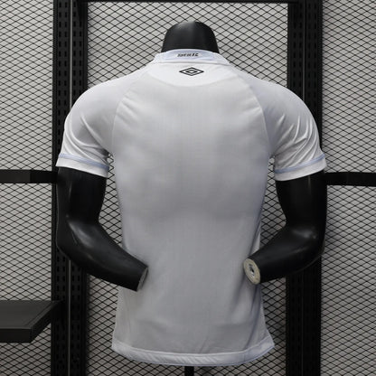 player version santos jersey 25/26 football kit soccer jersey