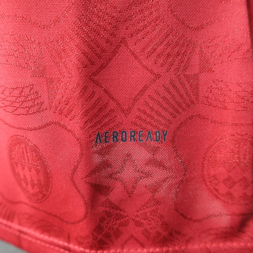 player version bayern munich jersey 25/26 anniversary edition long sleeves football kit soccer jersey