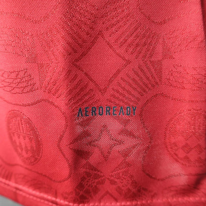 player version bayern munich jersey 25/26 anniversary edition long sleeves football kit soccer jersey